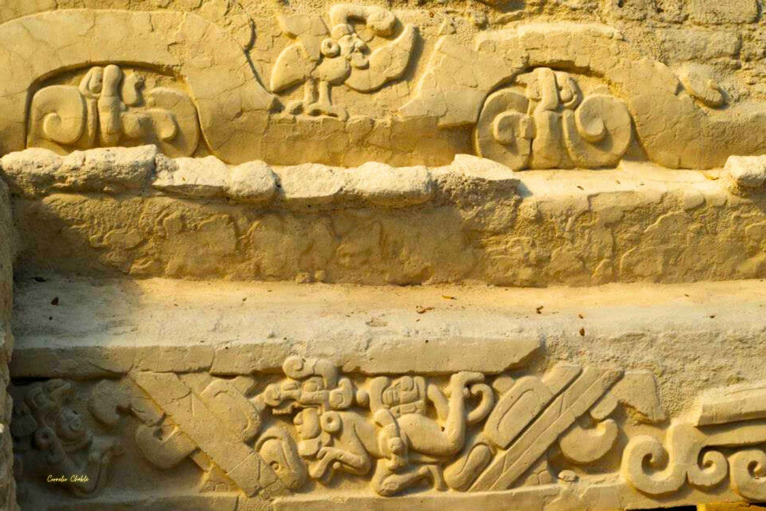 Treking "El Mirador y Nakbé" Aventura en las Ciudades Más Antiguas del Mundo Maya